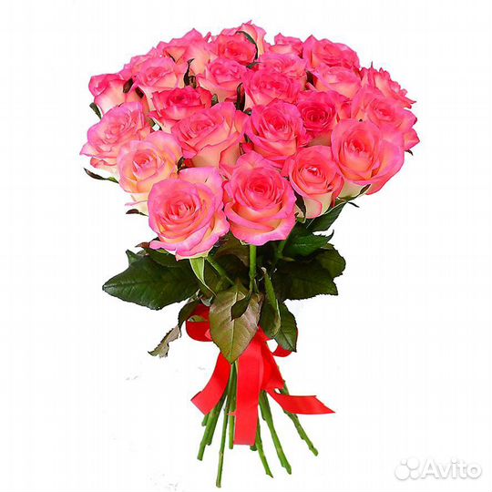 Букет из 25 роз Импульс