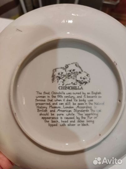 Коллекционная тарелка Кошки Шиншилла