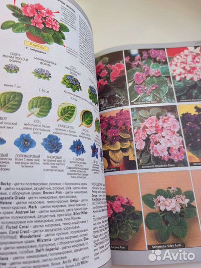 Всё о комнатных растениях. Хессайон Д.Г