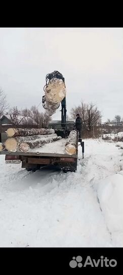 Ленточная пилорама распил