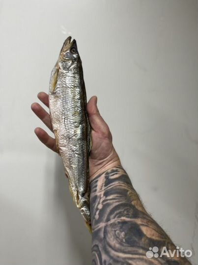 Корюшка вяленая с Сахалина крупная с икрой