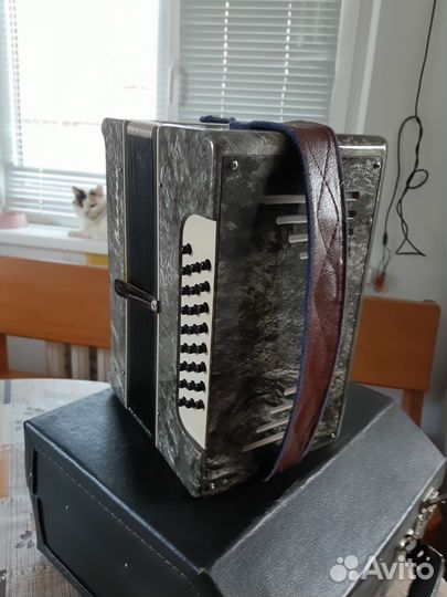 Гармонь Восток