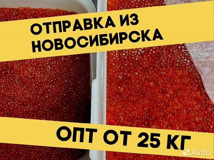 Красная икра нерки, улов июнь 2023