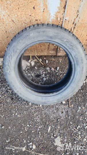 Accelera Snow 13.6/10.5 R9