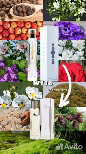 Духи Essens w116 (lacoste pour femme)