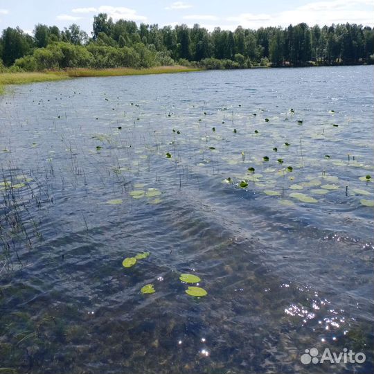 База отдыха 