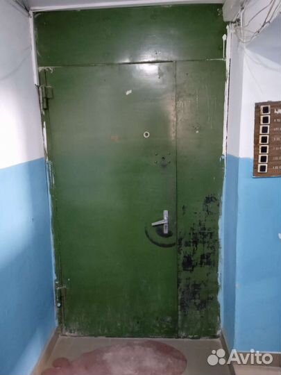 Дверь входная металлическая тамбурная