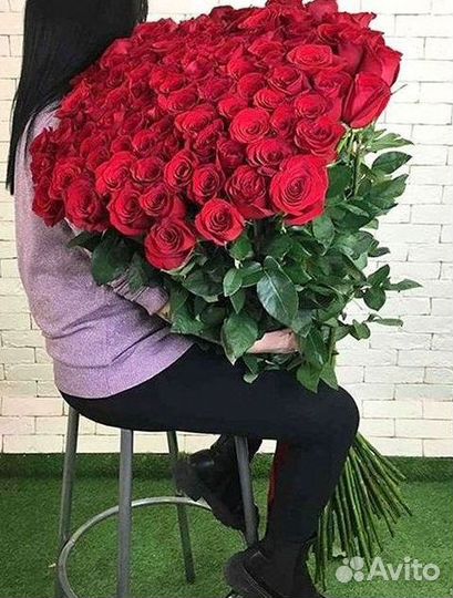 Розы Высокие 150см 160см 170см 180см 190см 2м