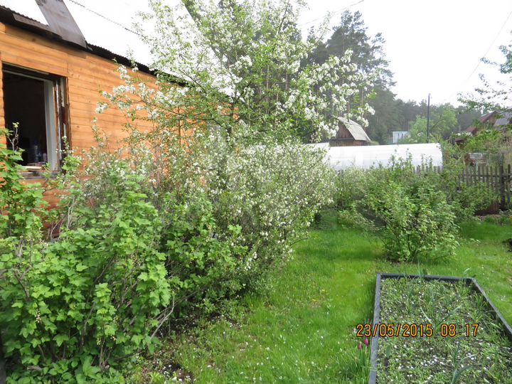 Участок 4,7 сот. (СНТ, ДНП)