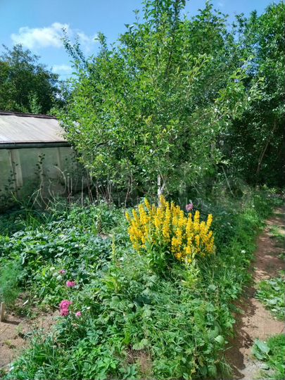 Дом 58,2 м² на участке 7,4 сот.