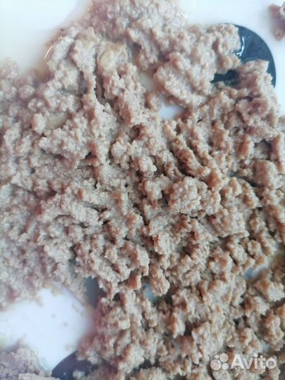 Влажный корм для собак и кошек