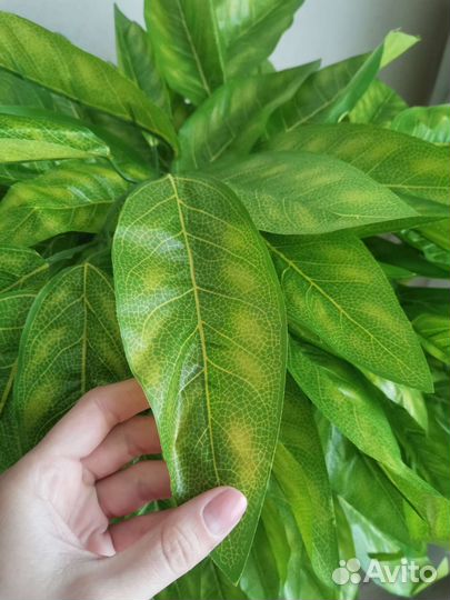 Искусственное дерево манго