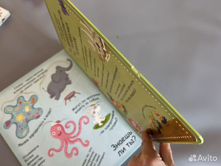 Детские книги с окошками