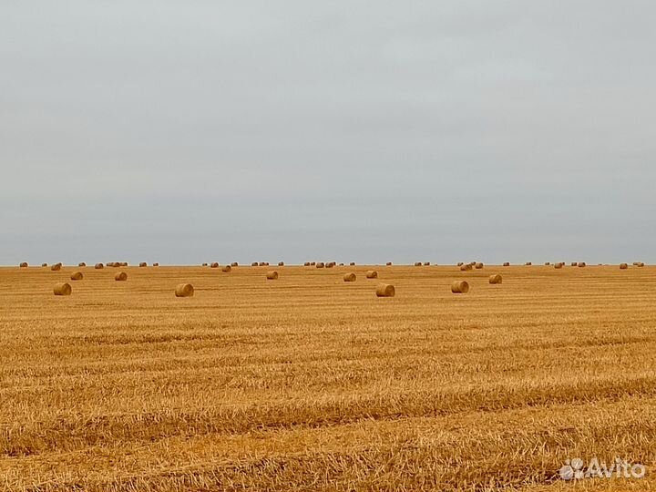 Солома в рулонах