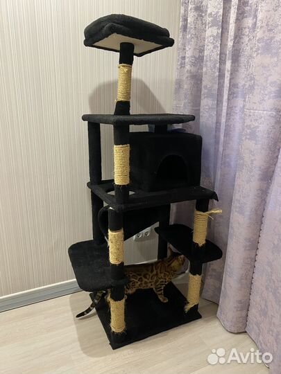 Когтеточка домик для кошки бу
