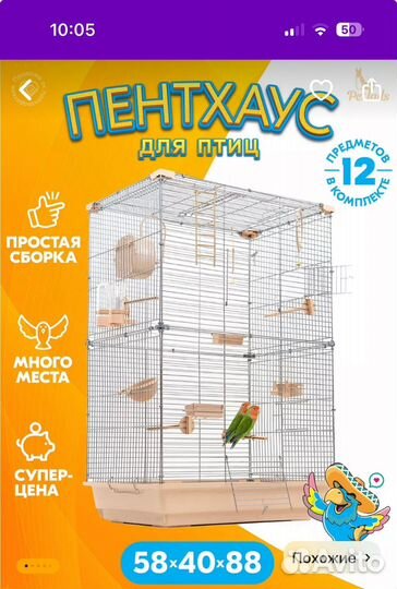 Попугай корелла с клеткой