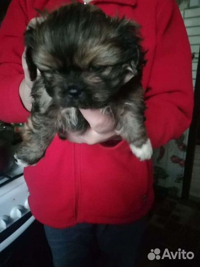 Красатулечки