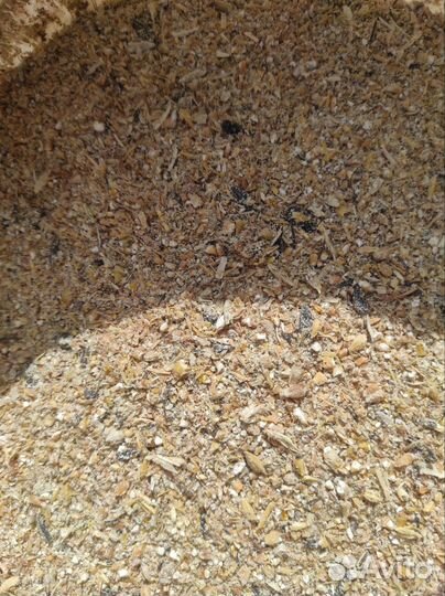 Гранулятор для комбикорма