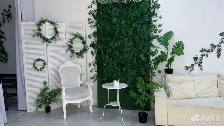 Аренда фотостудии Щёлково