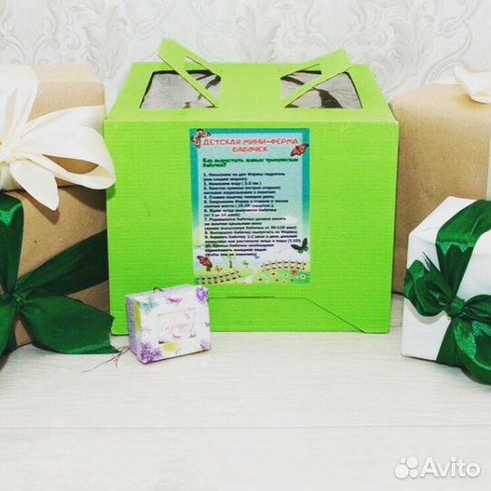 Мини-ферма бабочек