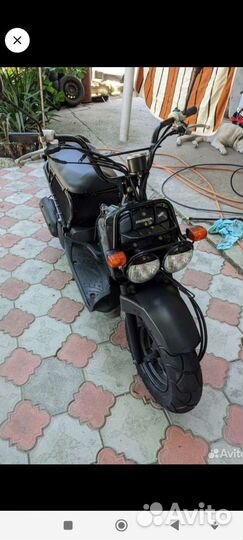 Хонда зуммер honda zoomer