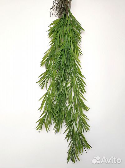 Растения для настроения ива опт