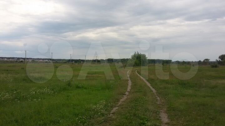 Участок 1,63 га (ИЖС)