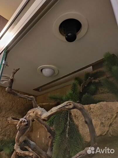 Террариум 80*45*195