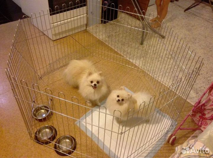 Вольер оцинкованный