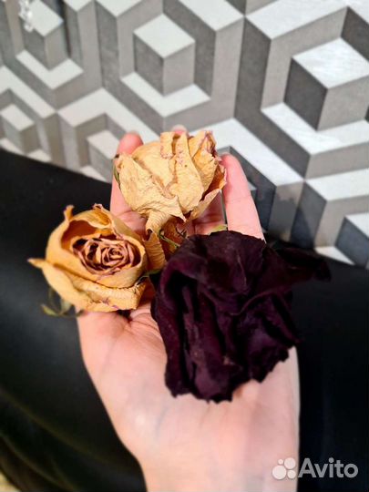 Розы сухие (есть и лепестки и бутоны)
