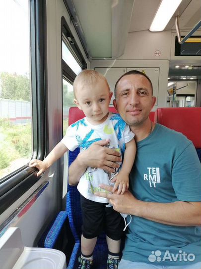 Трезвый водитель