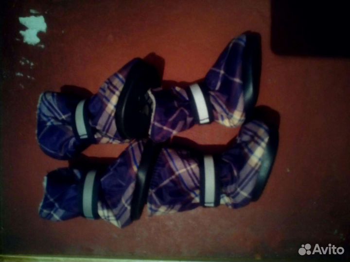 Обувь для собак