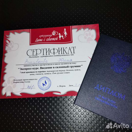 Стрижка кошек, экспресс линька. Груминг