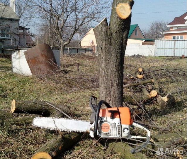 Спил деревьев (кронирование), иные высотные работы