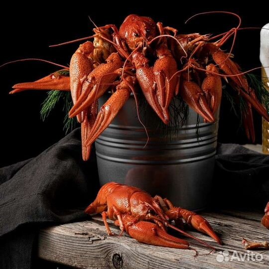 Раки живые/вареные
