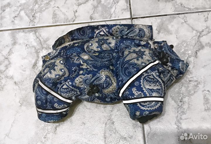Зимние вещи для собак