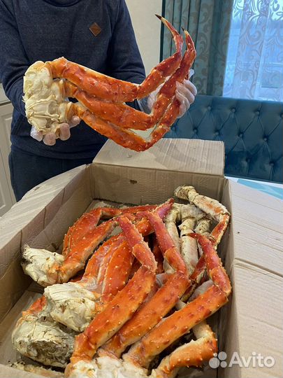 Краб камчатский