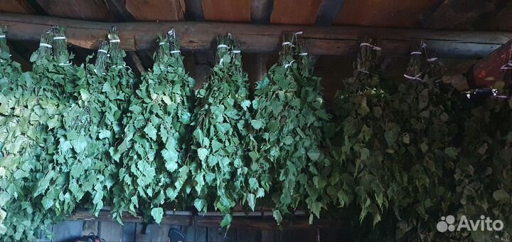 Веники для бани