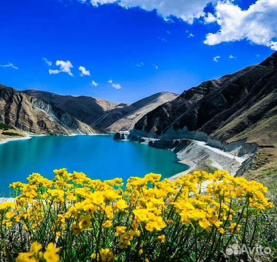 Тур в Чечню из Уфы, 4 дня