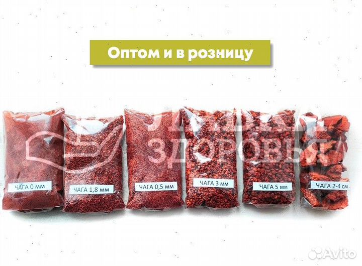 Чага сушеная. Молотая и кусковая