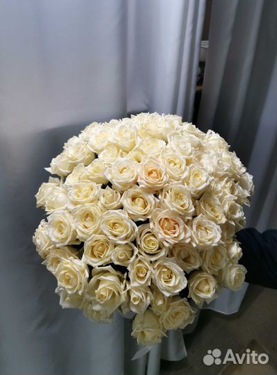 Розы, букет цветов 101 роза