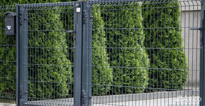 Забор из 3D сетки с металлическими столбами быстро