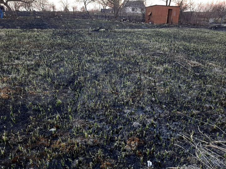 Участок 10 сот. (СНТ, ДНП)