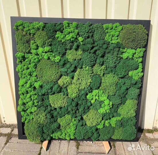 Картина со мхом мох стабилизированный фитокартина