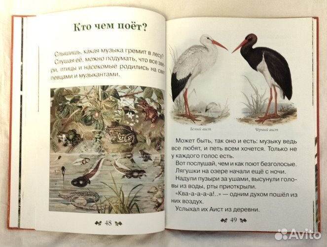 Сказки и рассказы о животных