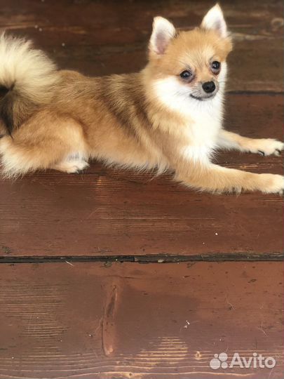 Милые малыши