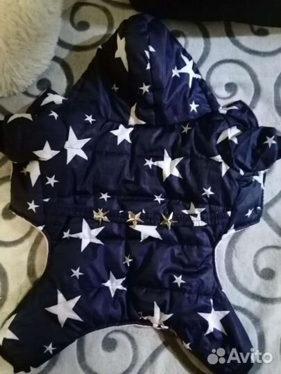 Куртка для маленькой собаки