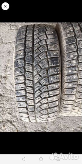 Viatti Bosco Nordico V-523 195/50 R15