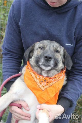 Скромная девочка Мира, из приюта