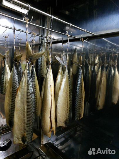 Коптильни загрузкой от 5 до 20 кг